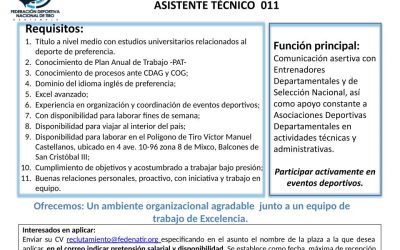 Asistente Técnico 011