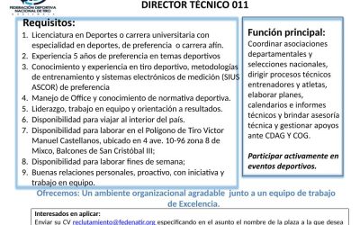 Director Técnico 011